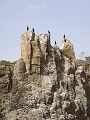 PB290109 Rocky outcrop off Kiama Downs